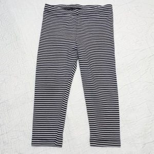 2T (6/$20) Pinstripe Leggings by Circo
